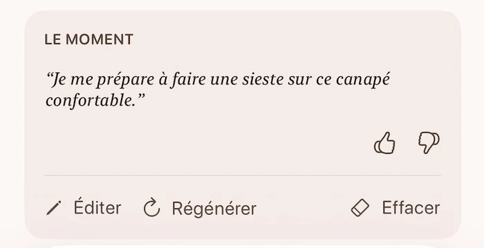 Le détail d'un souvenir dans Pawmories : une légende écrite à la première personne, sous le titre « Le moment »